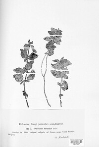 Image Associated With the Occurence